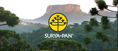 Surya Pan Hotel Campos do Jord
