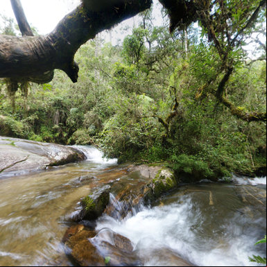 Cachoeira da Galharada Campos do Jord